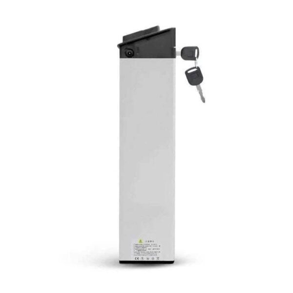 Batterie LITHIUM-ION pour ENGWE EP-2 PRO & ENGINE PRO