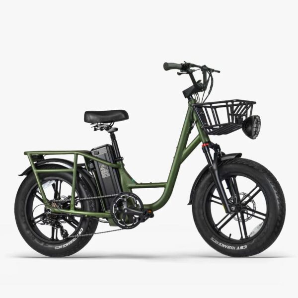 Fiido T1 Pro Vélo électrique Cargo