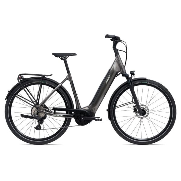 Giant DailyTour E+ 2 D LDS (RideDash Evo)