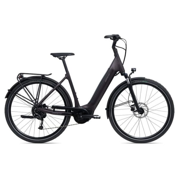 Giant DailyTour E+ 3 LDS (RideDash Evo)