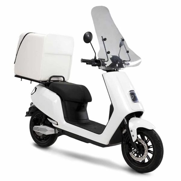 Scooter Electrique LVNENG S5 Delivery