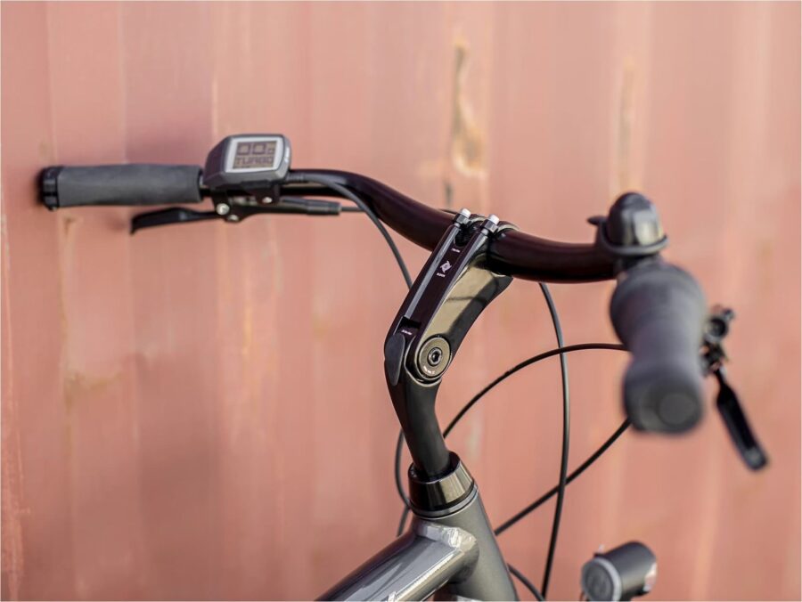 Trek District+ 1 Shimano Nexus 7V Grey 2022