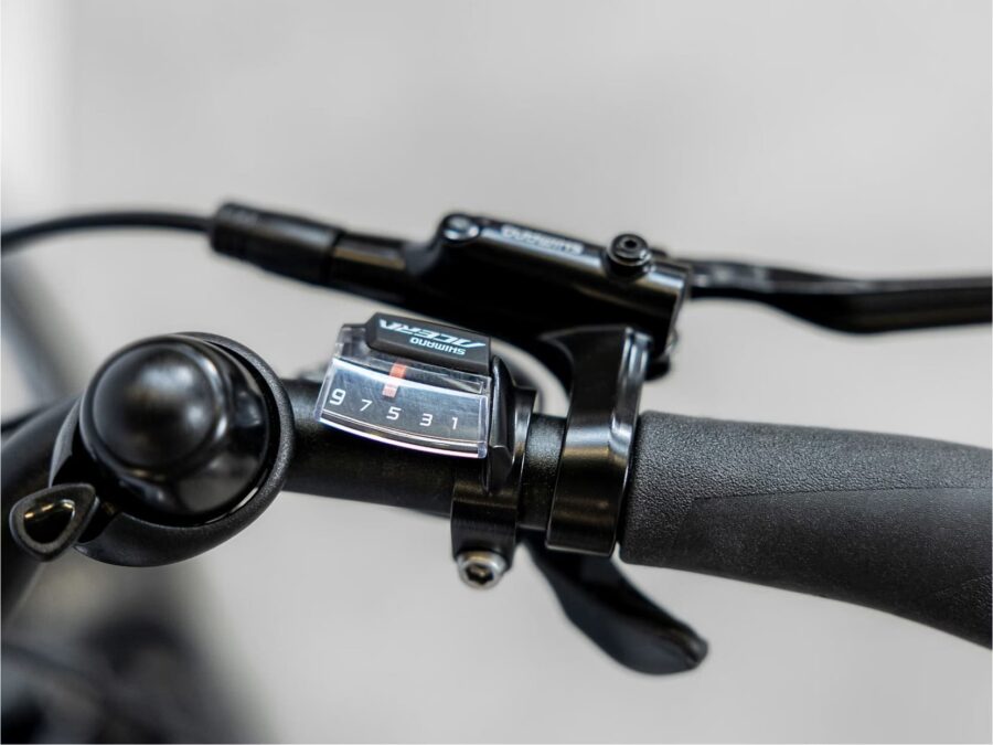 Trek Verve+ 2 Shimano Acera/Altus 500 Wh 2023