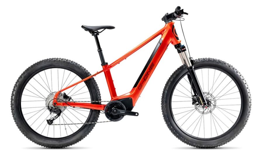 Vélo Électrique Gitane G-One REDWOOD 1
