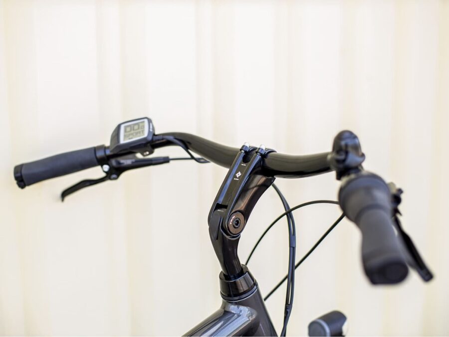 Vélo de Ville Électrique Trek District+ 1 Shimano Nexus 300 Wh Gris 2023