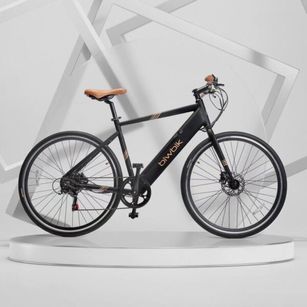 Vélo électrique Biwbik VALONA